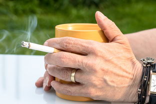 中医养生智慧，探索健康长寿的秘诀