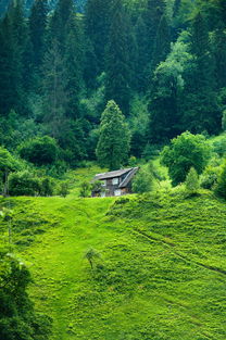 探索巴马长寿村，最佳旅游时间与养生之旅
